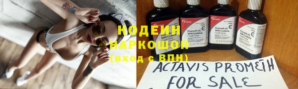 винт Алзамай